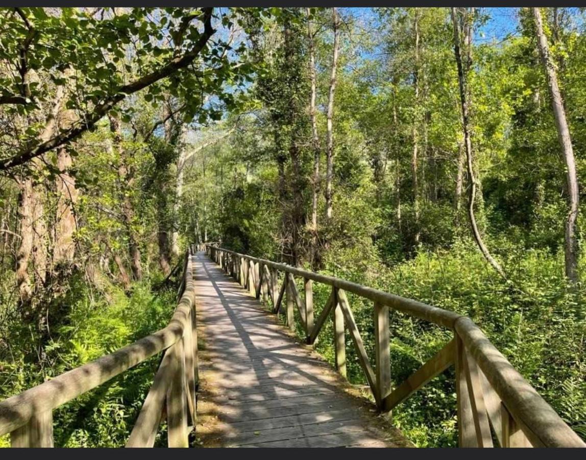 Elrosal2 Daire Cudillero Dış mekan fotoğraf